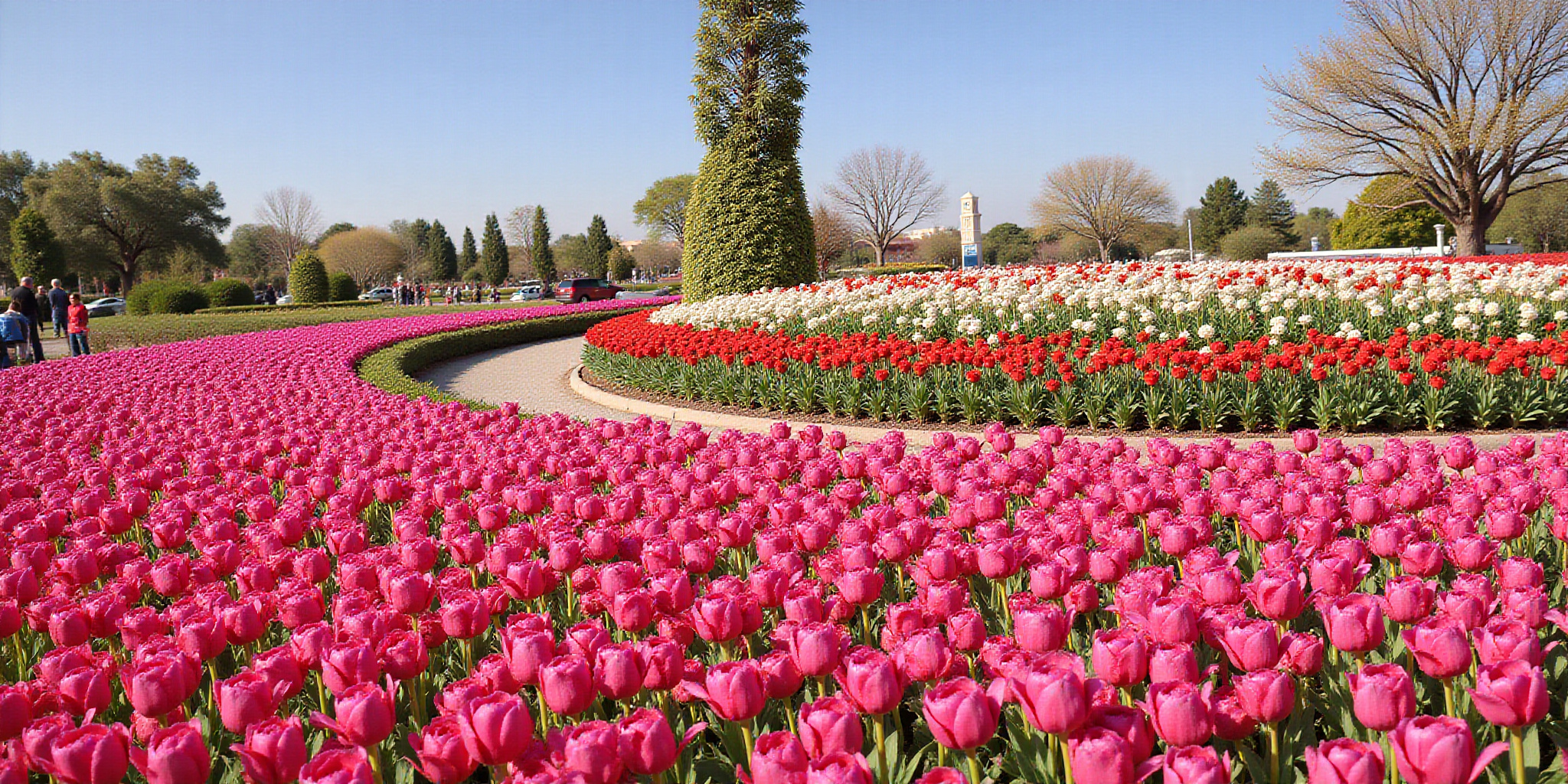 Dubai Miracle Garden 2025 Ticket Prices & Visiting Guide